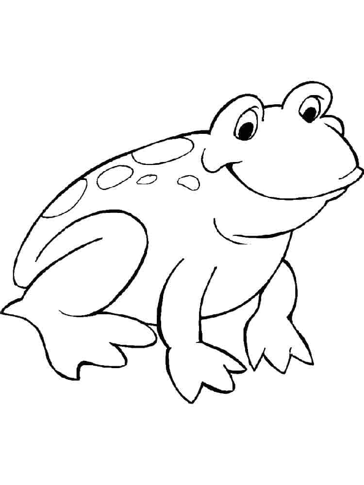 Desenho de Sapo Sorridente para Colorir