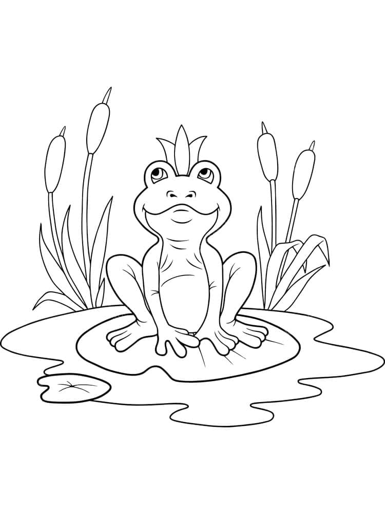 Desenho de um Rei Sapo para Colorir