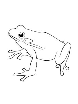 Desenho de Um Sapo Normal para Colorir