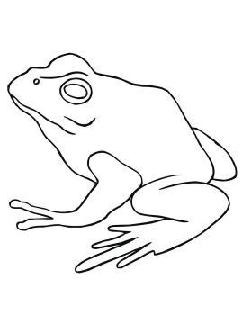 Desenho de Um Sapo Simples para Colorir