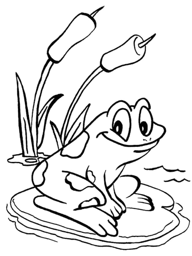 Desenho de um Sapo de Desenho Animado para Colorir
