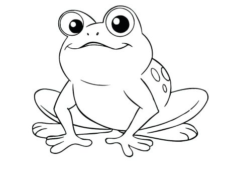 Desenho Pdf de Sapo