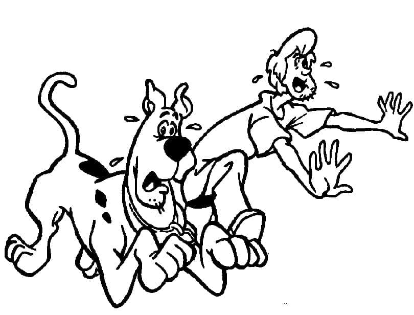 Desenho de Scooby Doo e Shaggy para Colorir
