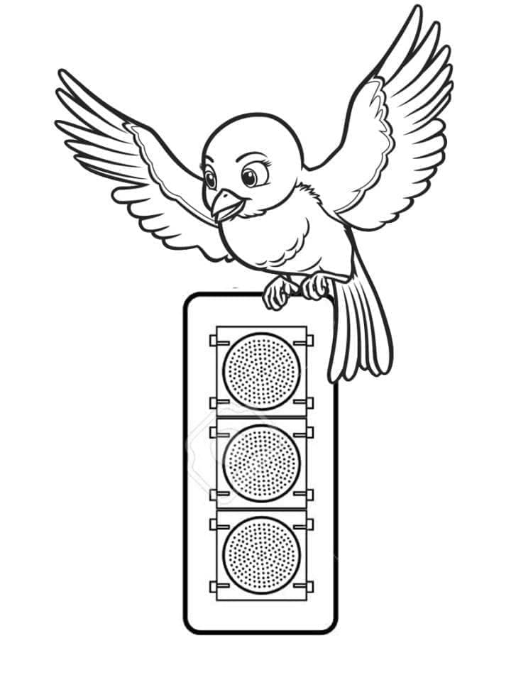 Desenho de Semáforo e Pássaro para Colorir