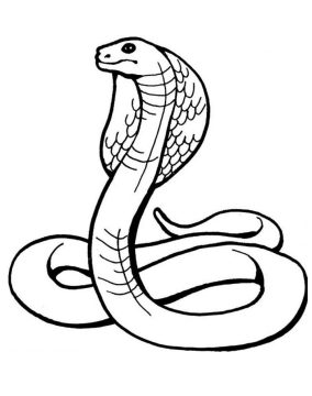 Desenho de Serpente Imprimível para Colorir