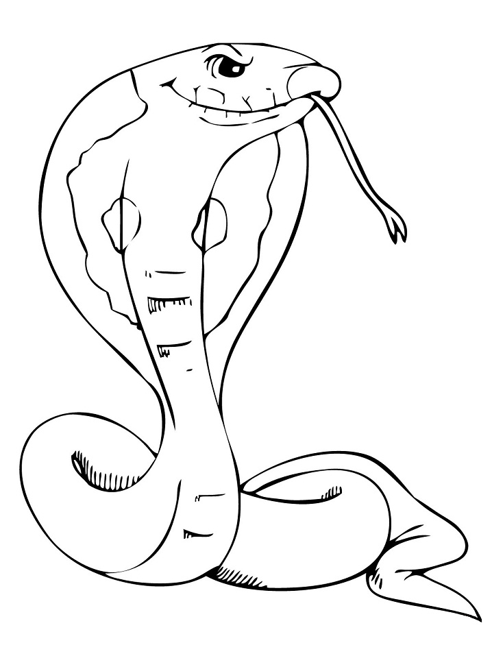 Desenho de Serpente para Colorir Imprimivel