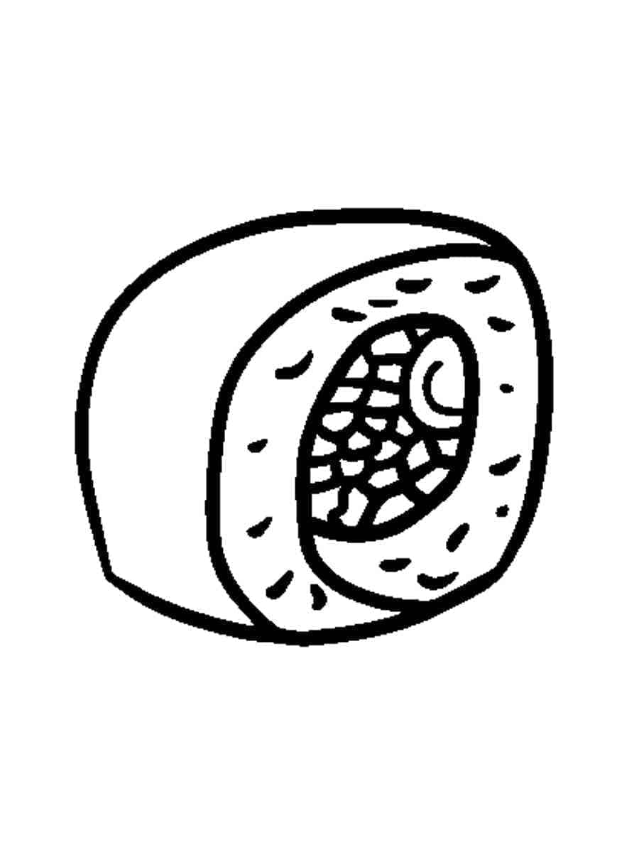 Desenho de Sushi Imprimivel para Crianças para Colorir