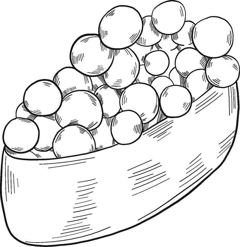 Desenho de Sushi Grátis para Imprimir e Colorir