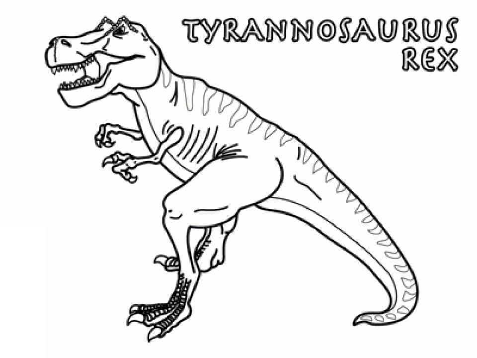 Desenho de Dinossauro T Rex Download para Colorir