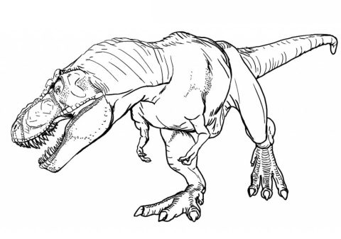 Desenho de T Rex Pdf grátis para Colorir