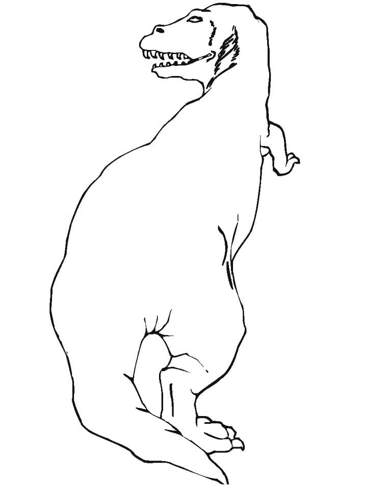 Desenho de T Rex Pdf para Imprimir e Colorir