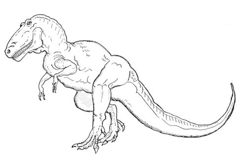 Desenho de Tiranossauro Rex Download para Colorir