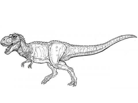 Desenho de Tiranossauro Rex Download Pdf para Colorir