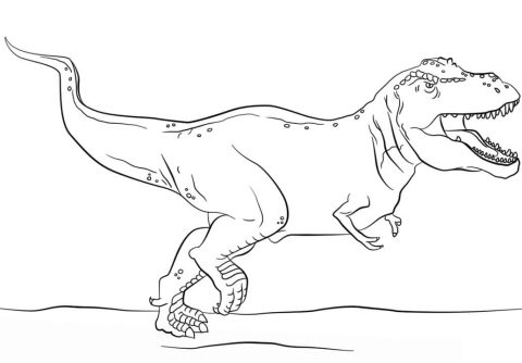 Desenho de Tiranossauro Rex grátis para Colorir