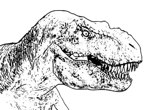 Desenho de Tiranossauro Rex Imprimível Pdf para Colorir