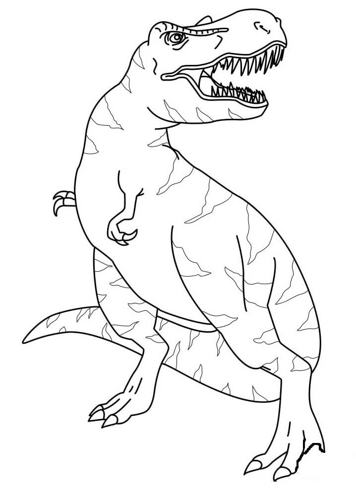 Desenho de Tiranossauro Rex Pdf Grátis para Colorir
