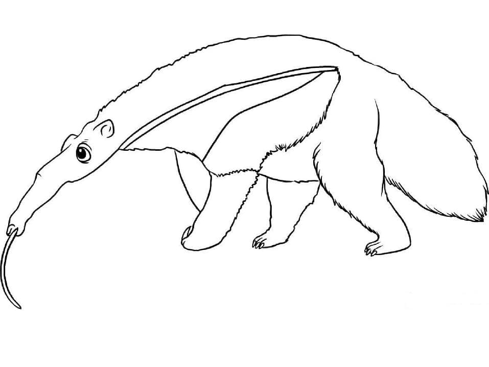 Desenho de Imagem de Tamanduá para Colorir
