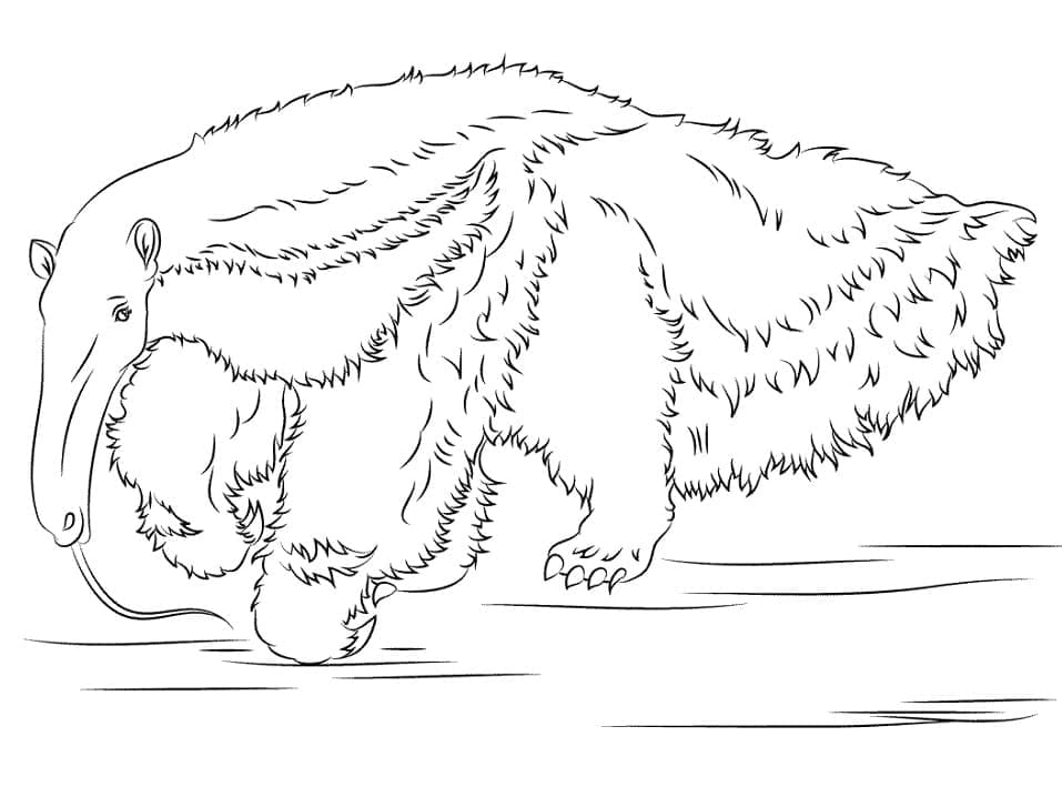 Desenho de o Tamanduá para Colorir