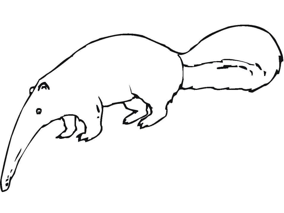Desenho de Tamanduá Fácil para Colorir