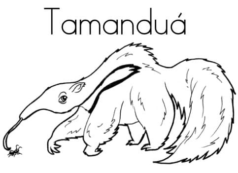 Desenho de Tamanduá Grátis para Crianças para Colorir