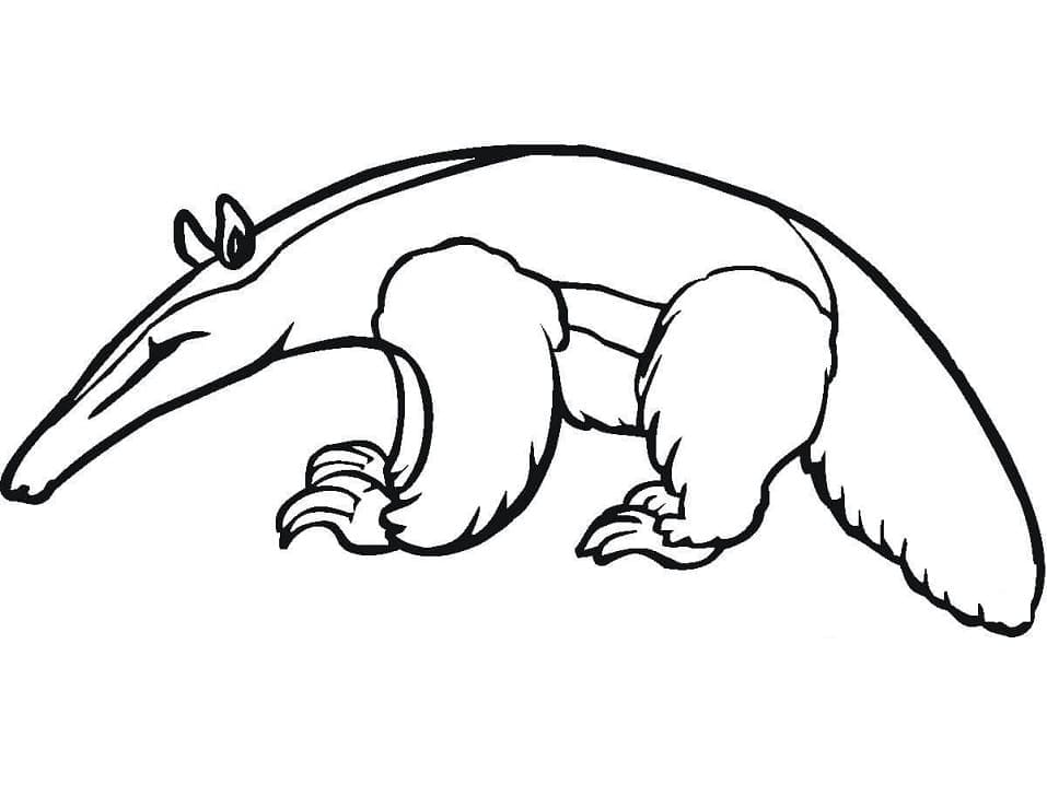 Desenho de Tamanduá Normal para Colorir
