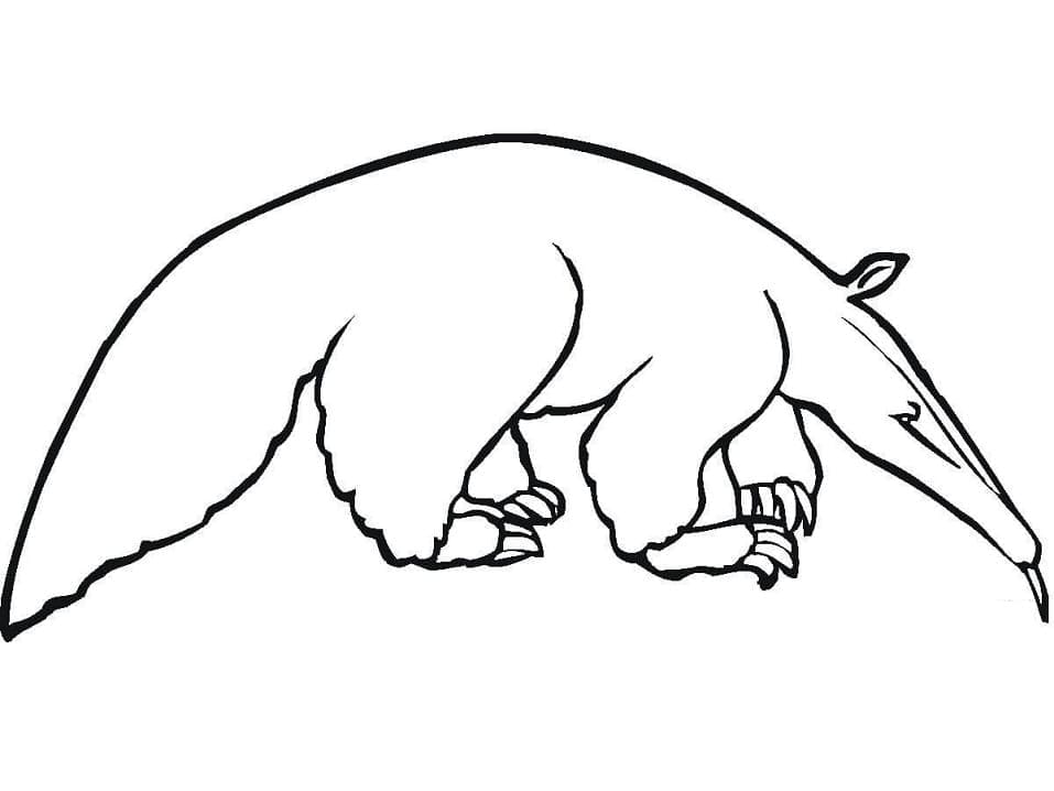 Desenho de Tamanduá para Crianças para Colorir