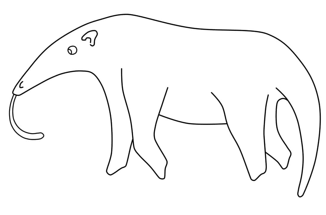 Desenho de Tamanduá Simples para Colorir