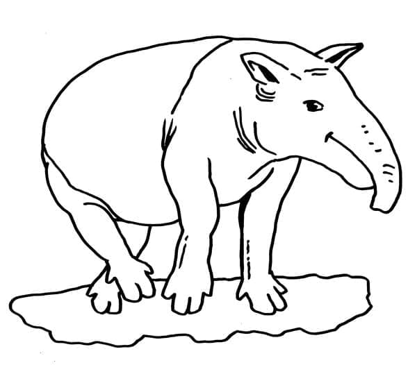 Desenho de um Tamanduá Feliz para Colorir