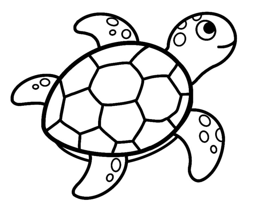 Desenho de Tartaruga Marinha Adorável para Colorir
