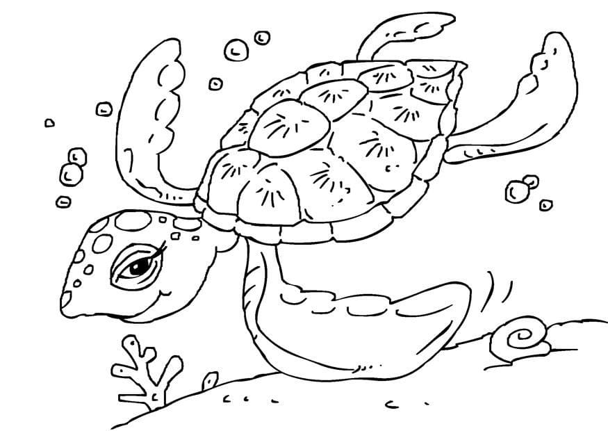 Desenho de Tartaruga Marinha Fofa para Colorir
