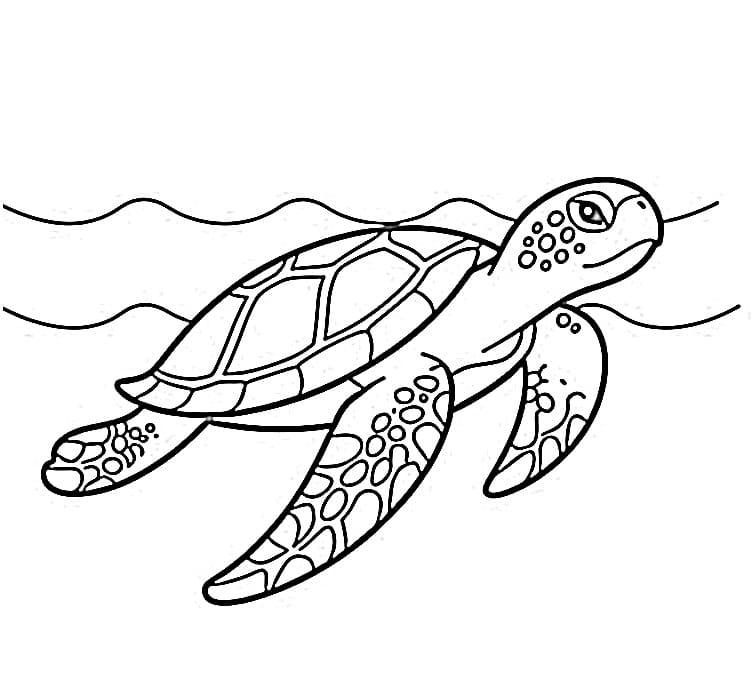 Desenho de Tartaruga Marinha Grátis para Crianças para Colorir