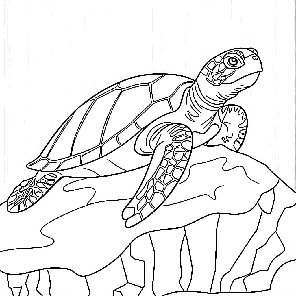 Desenho de Tartaruga Marinha Imprimivel Grátis para Colorir