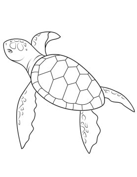 Desenho de Tartaruga Marinha Normal para Colorir