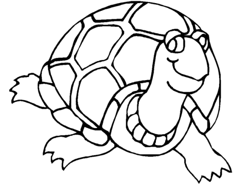 Desenho de Tartaruga para Colorir Imprimível