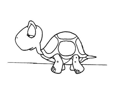 Desenho de Tartaruga para Pintar Imprimível