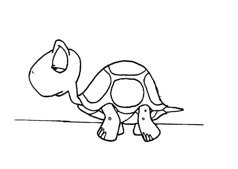 Desenho de Tartaruga para Pintar Imprimivel