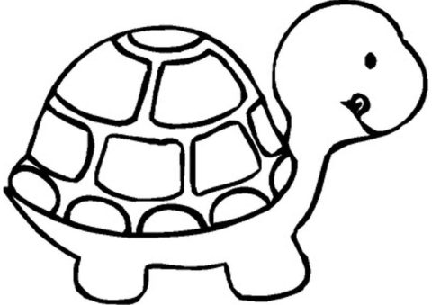 Desenho Simples de Tartaruga Imprimível para Colorir