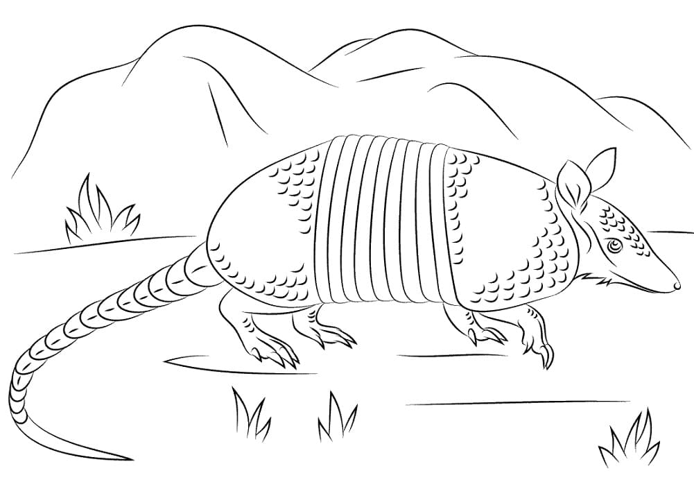 Desenho de Tatu Galinha Caminha para Colorir