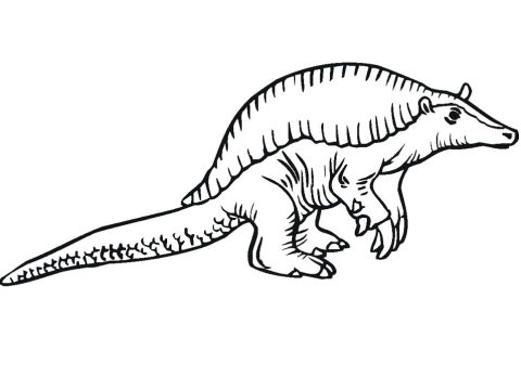 Desenho de Tatu Gigante para Colorir