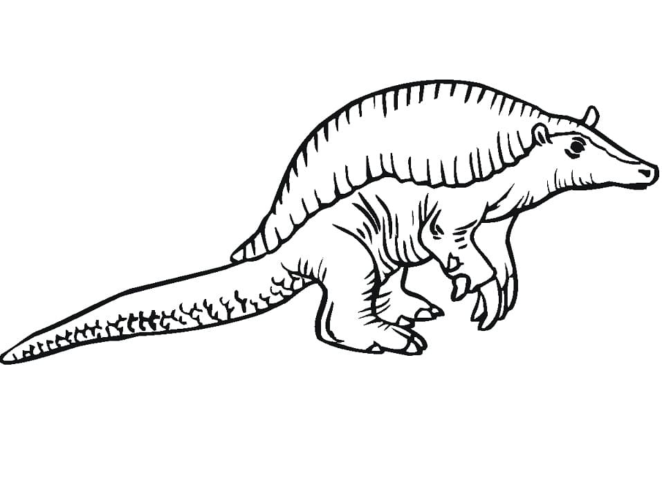 Desenho de Tatu Gigante para Colorir