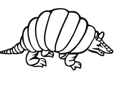 Desenho Pdf esboço de Tatu para Colorir