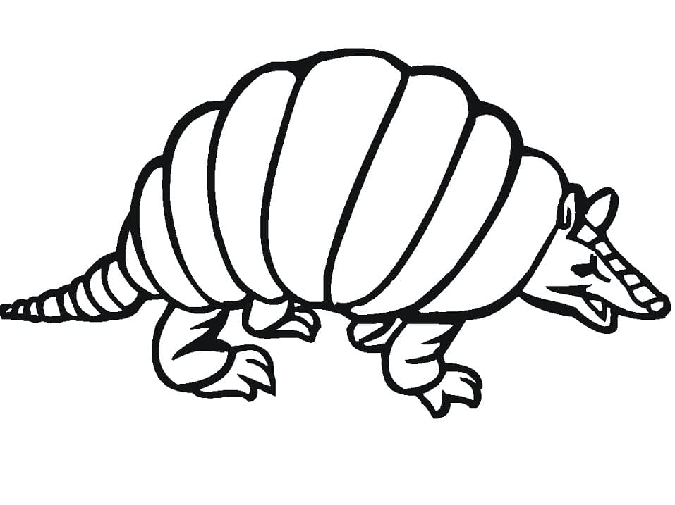 Desenho Pdf Esboço de Tatu para Colorir