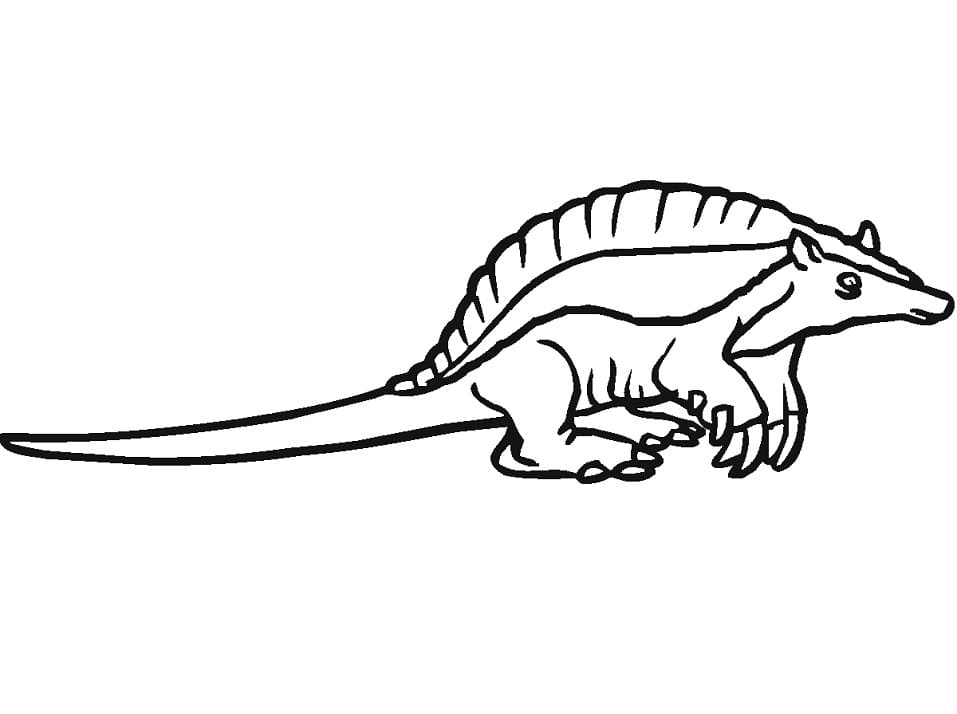 Desenho Tatu Atento para Colorir