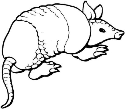 Desenho Tatu de Lado para Colorir