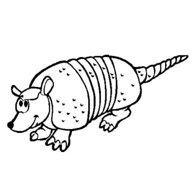 Desenho Tatu Fofo para Colorir