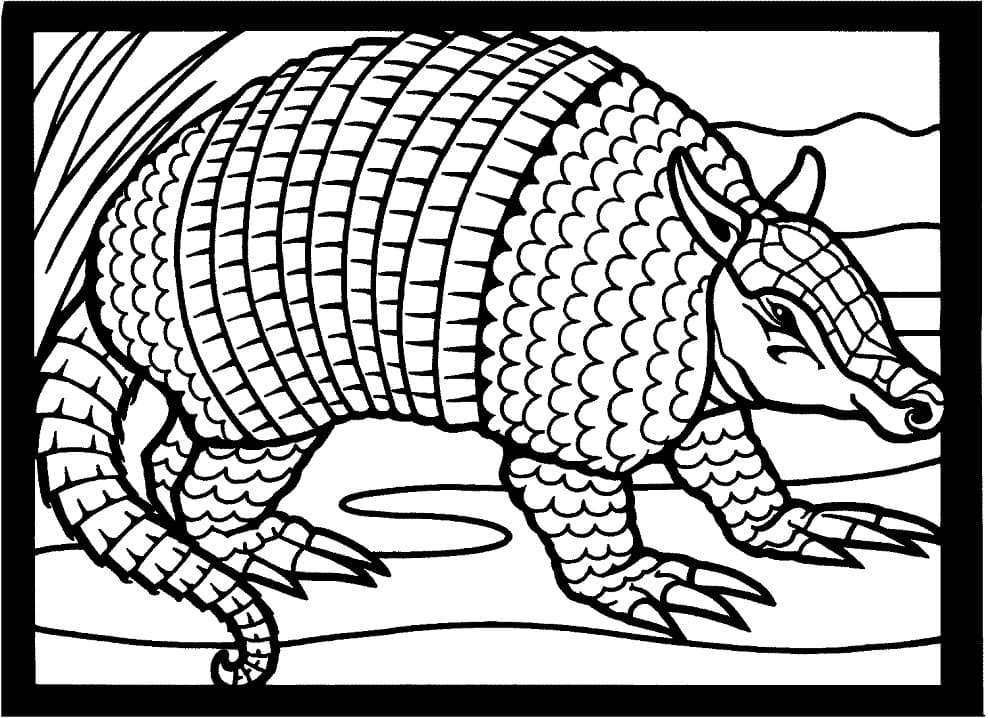 Desenho Tatu Galinha do Texas para Colorir