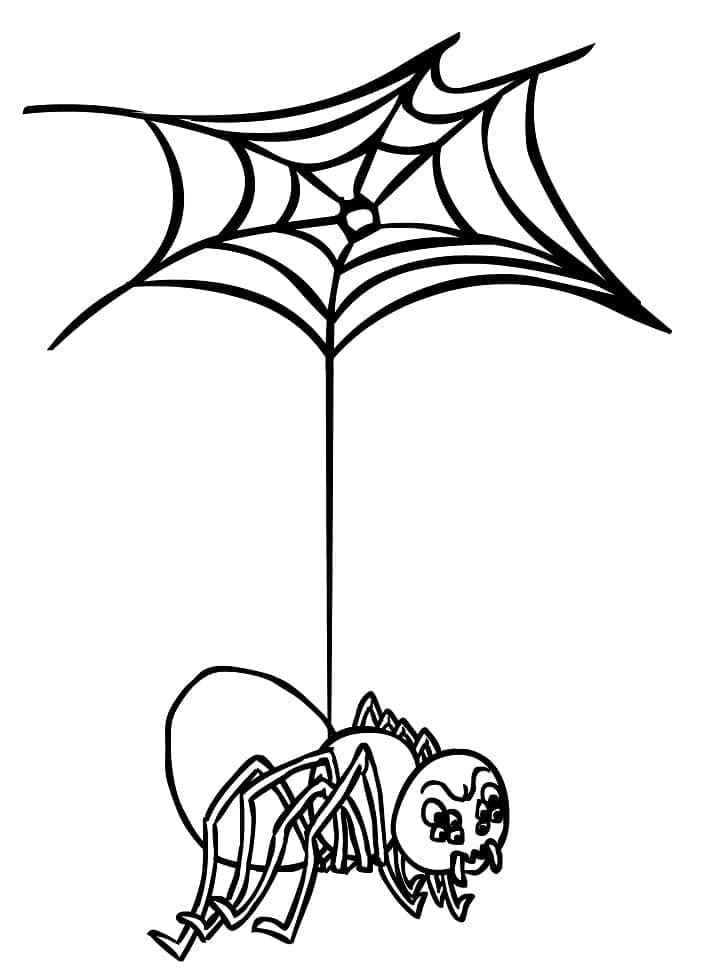 Desenho de Aranha com Teia de Aranha para Colorir