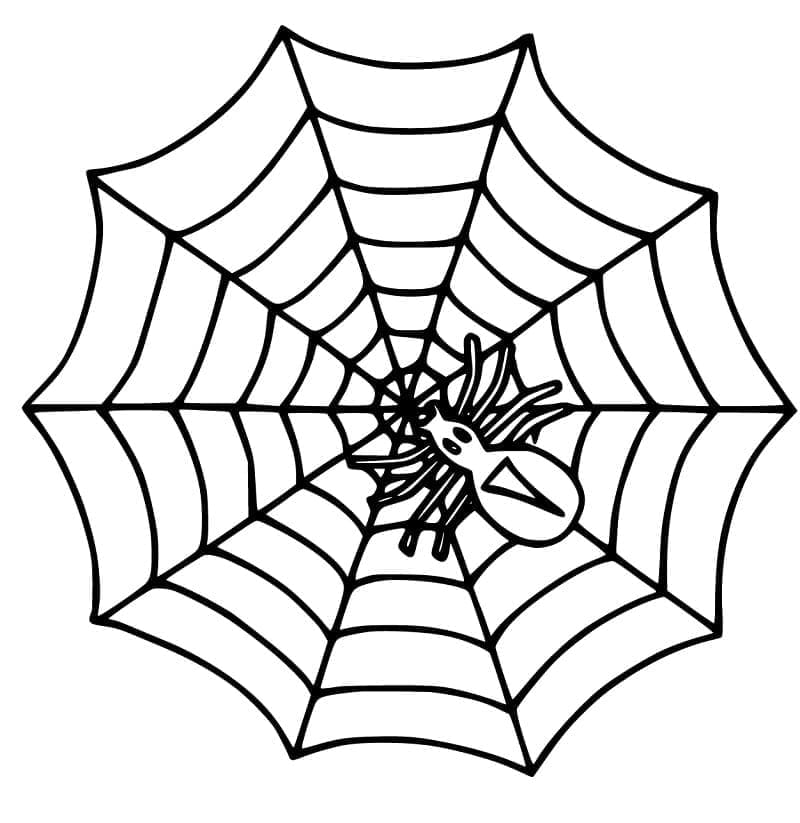 Desenho de Aranha e Teia de Aranha para Colorir