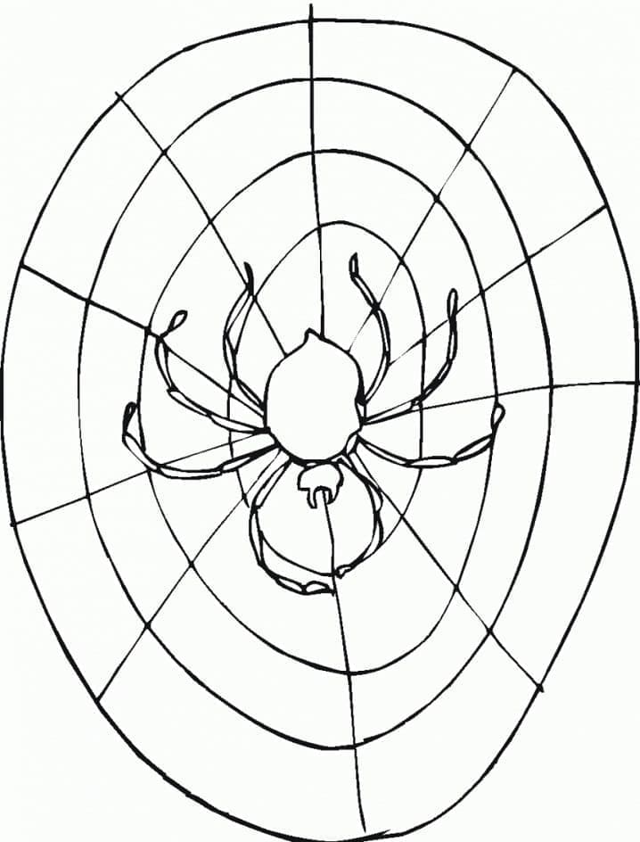 Desenho de Aranha na Teia de Aranha para Colorir