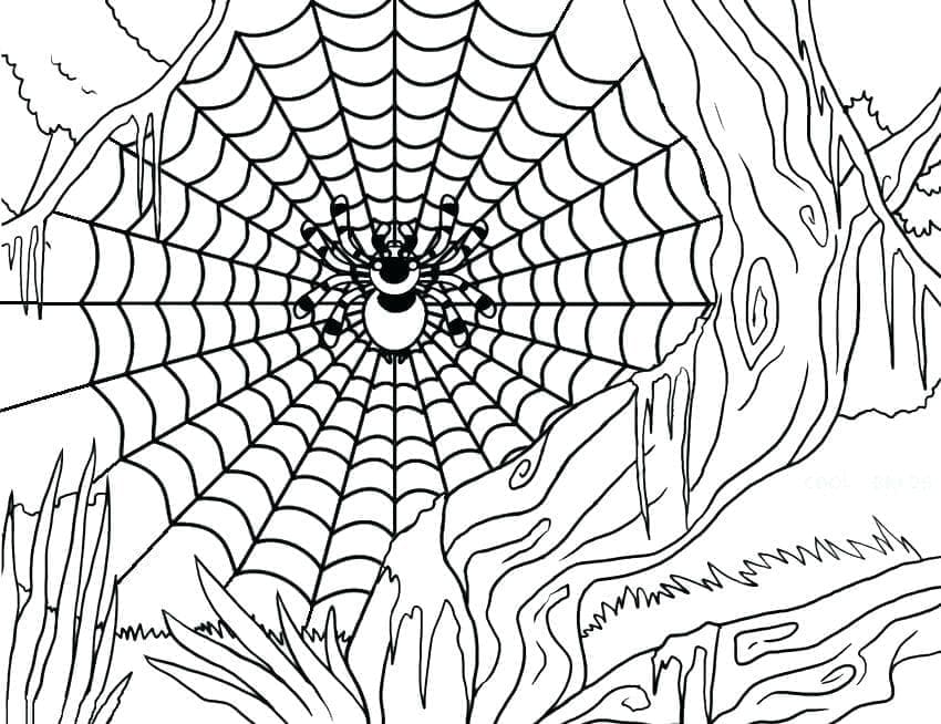 Desenho de Bela Teia de Aranha de Halloween para Colorir